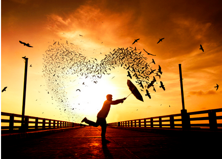 Screen Shot 2017-03-22 at 1.28.41 AM