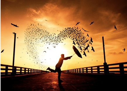 Screen Shot 2017-03-22 at 1.28.41 AM